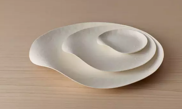 一次性餐具竟然美得像藝術(shù)品?。?）.png